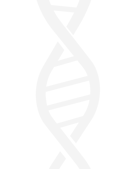 Semaglutide (GLP-1 Analogue) 3mg