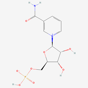 NMN 500mg (60 Capsules) structure