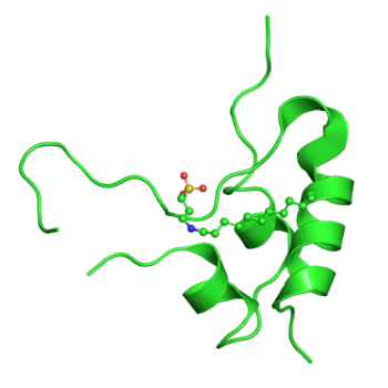 IGF-1 LR3 1mg structure